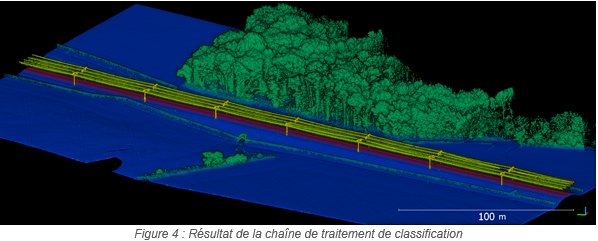 Vegetation_figure 4