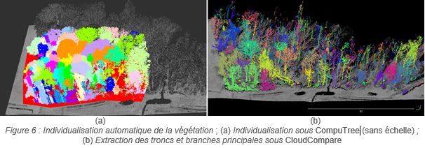 Vegetation_figure 6