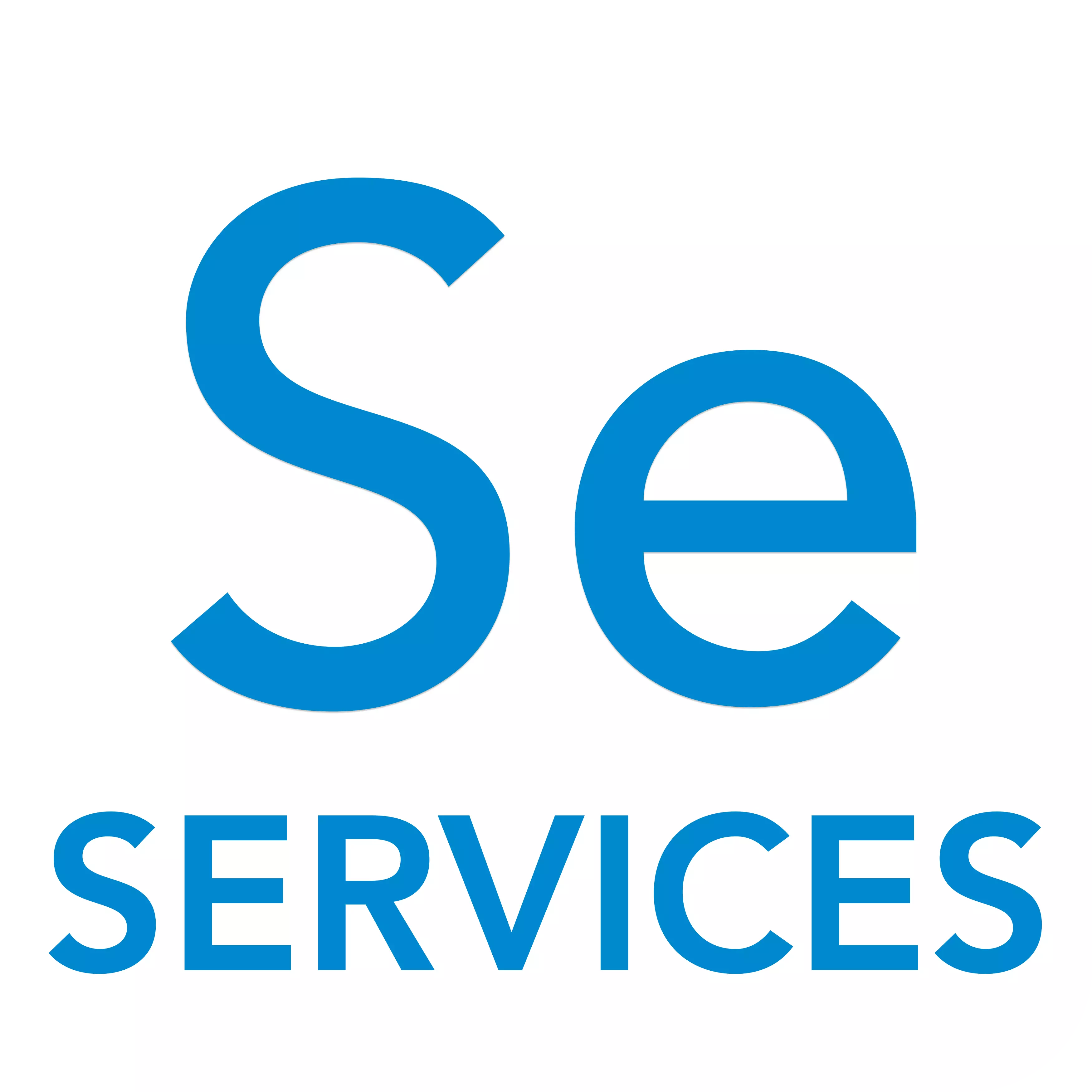logo altametris services