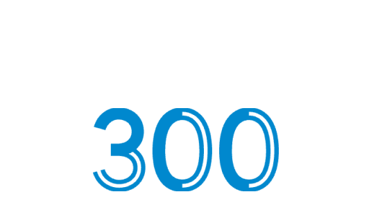Group 335
