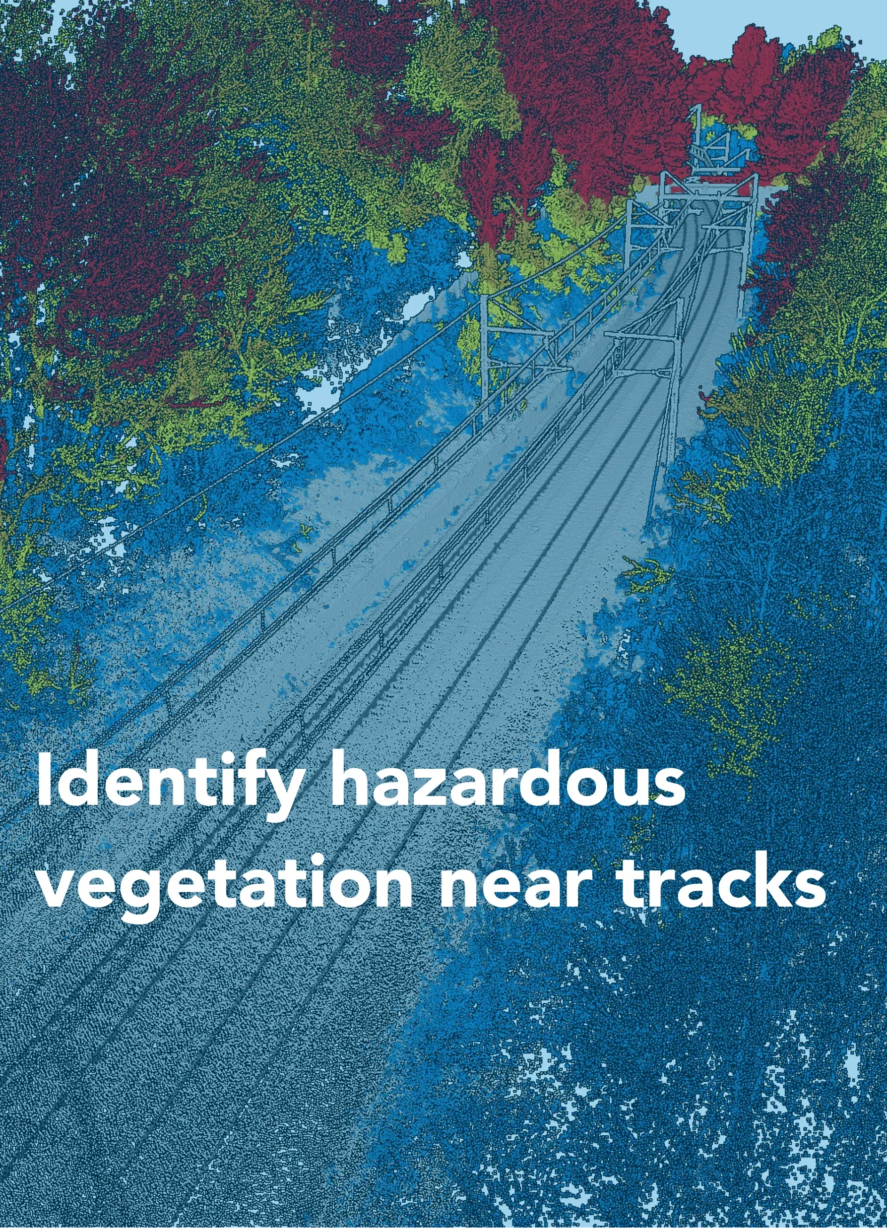 Identify hazardous vegetation near tracks